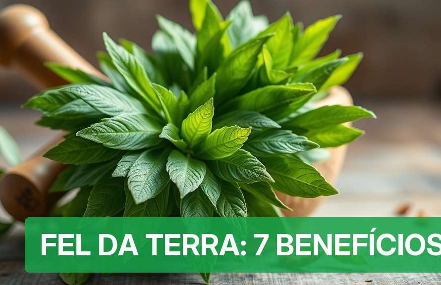 Fel da Terra: 7 Benefícios [Guia 2026] — Nutricionando